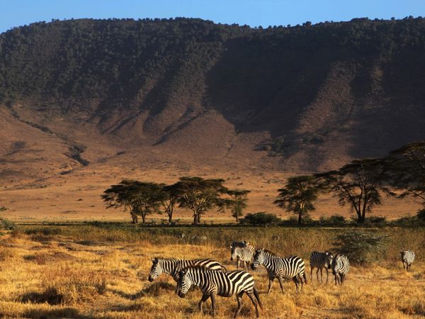 坦桑尼亚深度13日游>(东非动物大迁徙之旅) 维多利亚湖:位于东非高原
