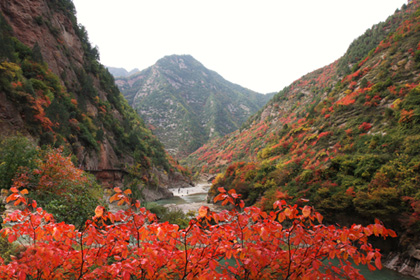骏途首页 景点门票 >凤县灵官峡景区