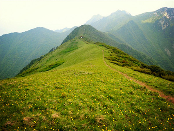 >终南山秦楚古道