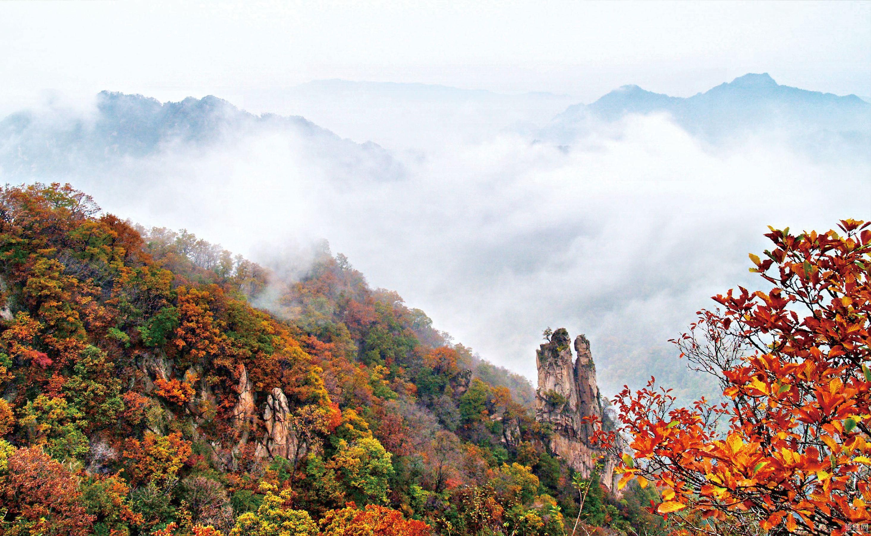 骏途首页 景点门票>西泰山风景区上一条