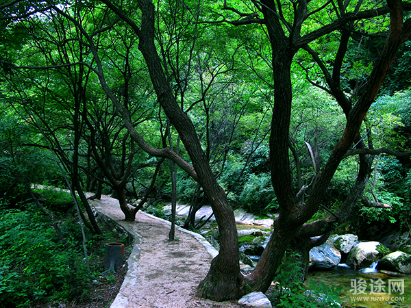 少华山国家森林公园